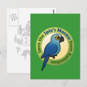 Sparen de Macaw van Spix van Uitsterven Briefkaart (Voorkant / Achterkant)