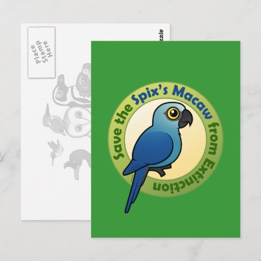 Sparen de Macaw van Spix van Uitsterven Briefkaart (Voorkant / Achterkant)