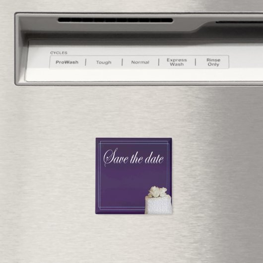 Sparen de Magnet van de Datum (Insitu (Vaatwasser))