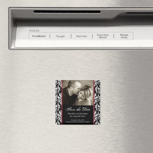 Sparen de Magnet van de Datum (Insitu (Vaatwasser))