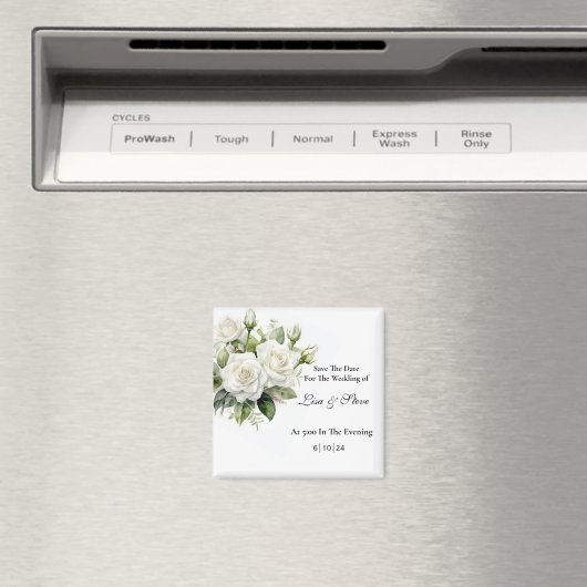 Sparen de Magnet van de Datum (Insitu (Vaatwasser))