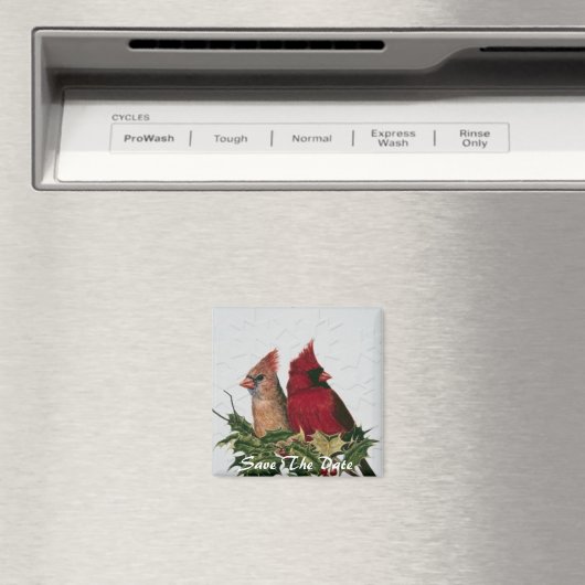 Sparen de Magnet van de Datum (Insitu (Vaatwasser))