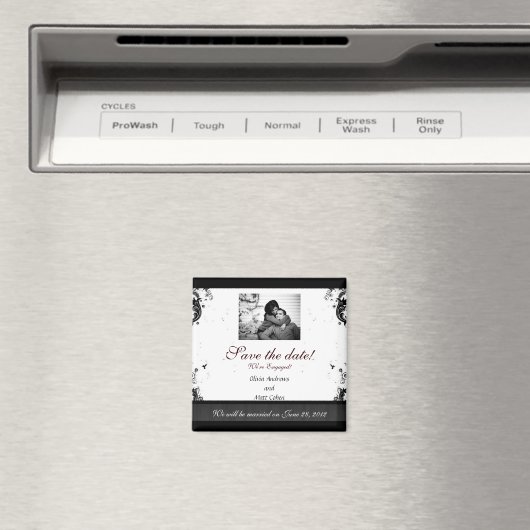 Sparen de Magnet van de Datum (Insitu (Vaatwasser))