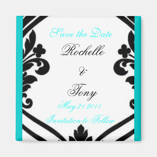 Sparen de Magnetten van de Datum Magneet