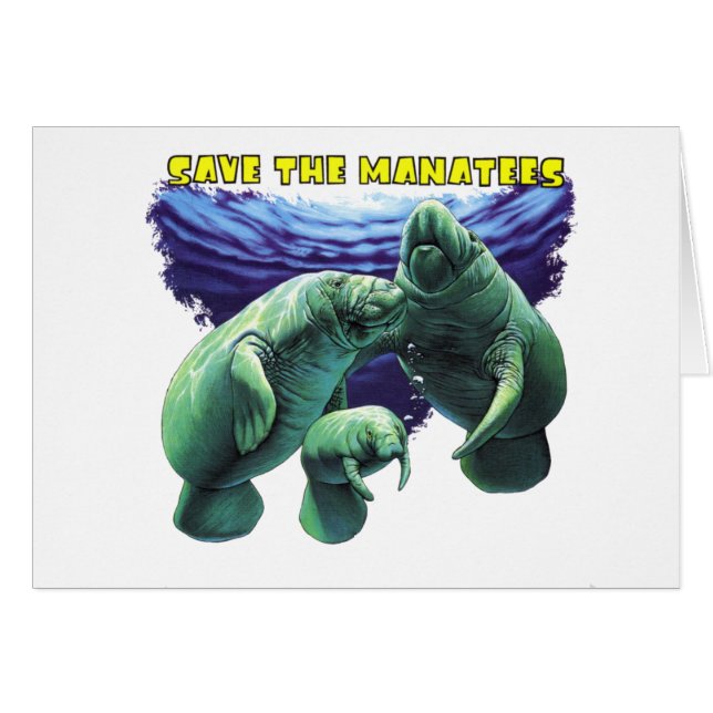Sparen de Manateans (Voorkant Horizontaal)