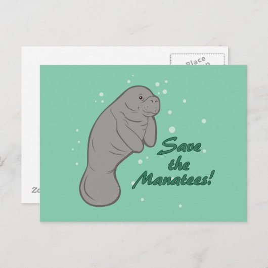 Sparen de Manatees! Briefkaart (Voorkant / Achterkant)