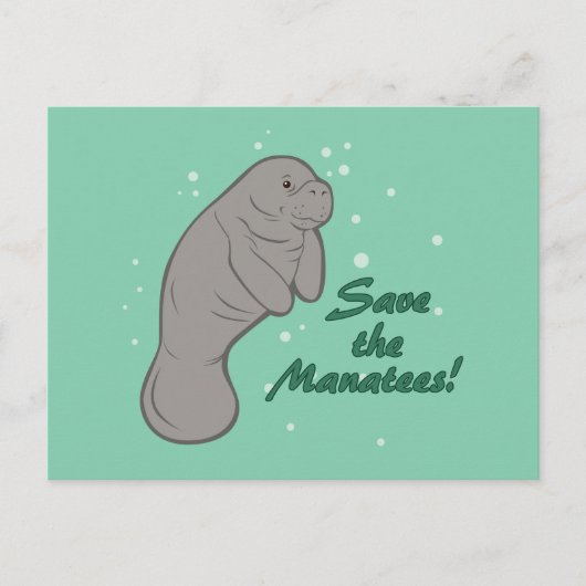 Sparen de Manatees! Briefkaart (Voorkant)