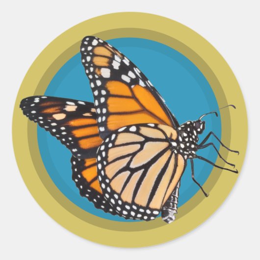 Sparen de Monarch Butterfly Ronde Sticker (Voorkant)