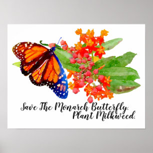 Sparen de Monboogvlinder. Plant Milkweed. Poster