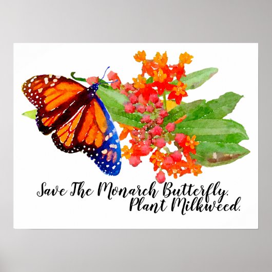 Sparen de Monboogvlinder. Plant Milkweed. Poster (Voorkant)