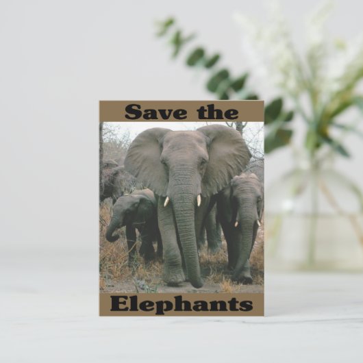 Sparen de Olephants Briefkaart (Staand voorkant)