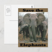 Sparen de Olephants Briefkaart (Voorkant / Achterkant)