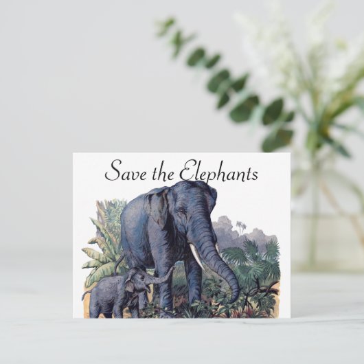 Sparen de Olephants Briefkaart (Staand voorkant)