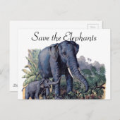 Sparen de Olephants Briefkaart (Voorkant / Achterkant)