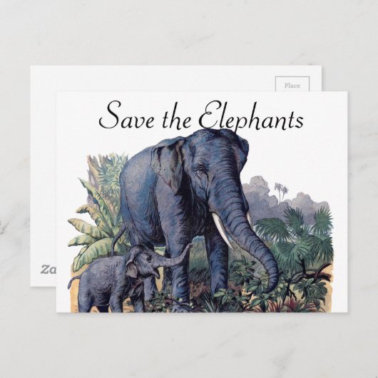 Sparen de Olephants Briefkaart (Voorkant / Achterkant)