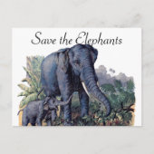 Sparen de Olephants Briefkaart (Voorkant)