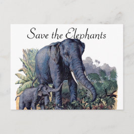 Sparen de Olephants Briefkaart