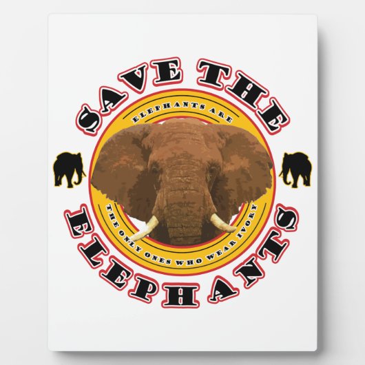 Sparen de Olephants Fotoplaat (Voorkant)