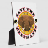 Sparen de Olephants Fotoplaat (Zijkant)