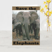 Sparen de Olephants Kaart (Gele Bloem)