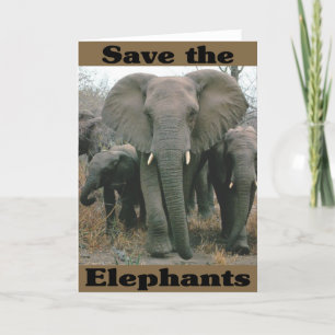 Sparen de Olephants Kaart