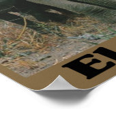 Sparen de Olephants Poster (Hoek)