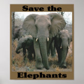 Sparen de Olephants Poster (Voorkant)