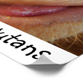 Sparen de Orangutans en het regenwoud Poster (Hoek)