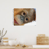 Sparen de Orangutans en het regenwoud Poster (Keuken)