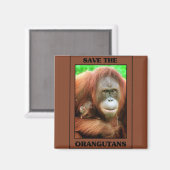 Sparen de Orangutans Magneet (Voorkant / Achterkant)