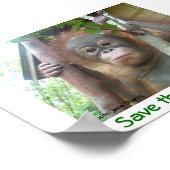Sparen de Orangutans Poster (Hoek)