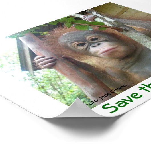 Sparen de Orangutans Poster (Hoek)