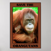Sparen de Orangutans Poster (Voorkant)