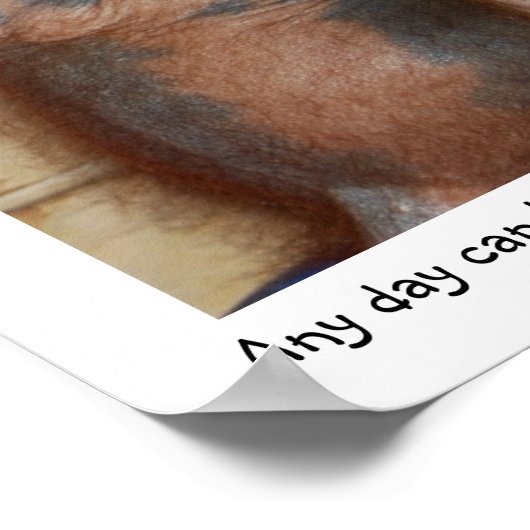 Sparen de Orangutans Poster (Hoek)