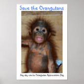 Sparen de Orangutans Poster (Voorkant)
