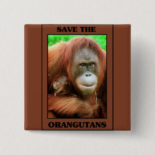 Sparen de Orangutans Vierkante Button 5,1 Cm