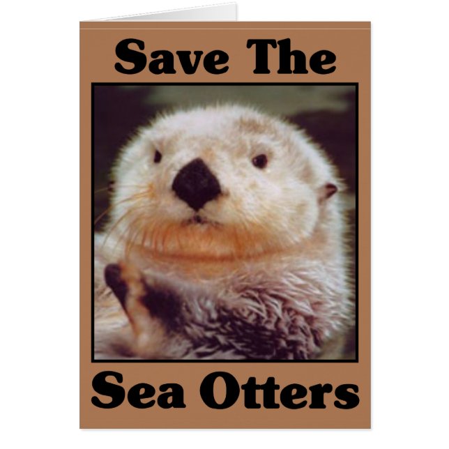 Sparen de Otters van het Zee (Voorkant)