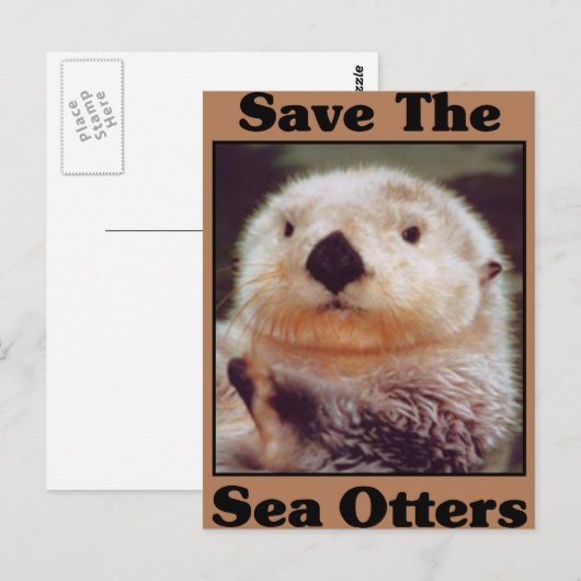 Sparen de Otters van het Zee Briefkaart (Voorkant / Achterkant)
