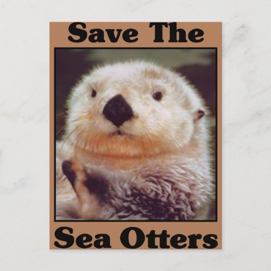 Sparen de Otters van het Zee Briefkaart (Voorkant)