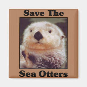 Sparen de Otters van het Zee Magneet