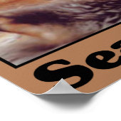 Sparen de Otters van het Zee Poster (Hoek)