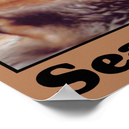 Sparen de Otters van het Zee Poster (Hoek)