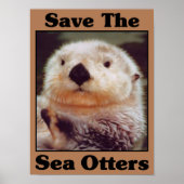 Sparen de Otters van het Zee Poster (Voorkant)