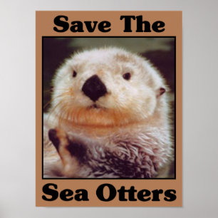 Sparen de Otters van het Zee Poster