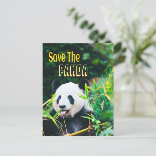 Sparen de Panda Briefkaart (Staand voorkant)