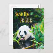 Sparen de Panda Briefkaart (Voorkant / Achterkant)