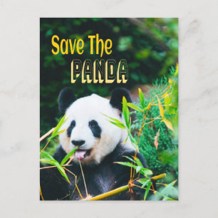 Sparen de Panda Briefkaart