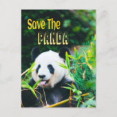 Sparen de Panda Briefkaart (Voorkant)