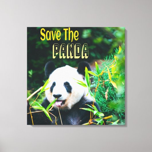 Sparen de Panda Canvas Afdruk (Voorkant)
