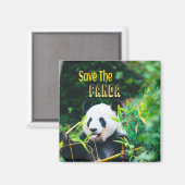Sparen de Panda Magneet (Voorkant / Achterkant)